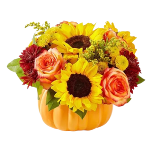 Pumpkin Spice Blooms