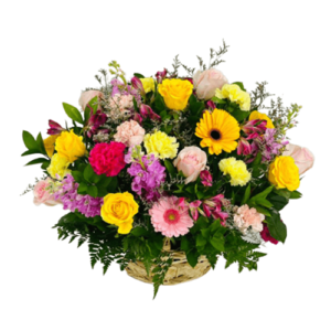 Together in the forest