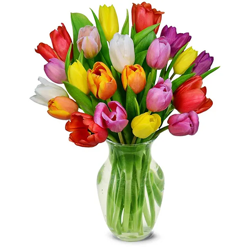 Assorted Tulips