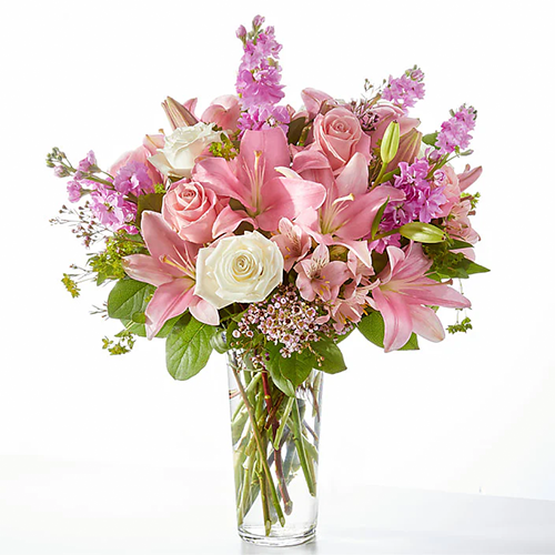 Majestic pink VALENTINE 2026 special edition!