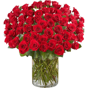 One Hundred Long Stem Roses