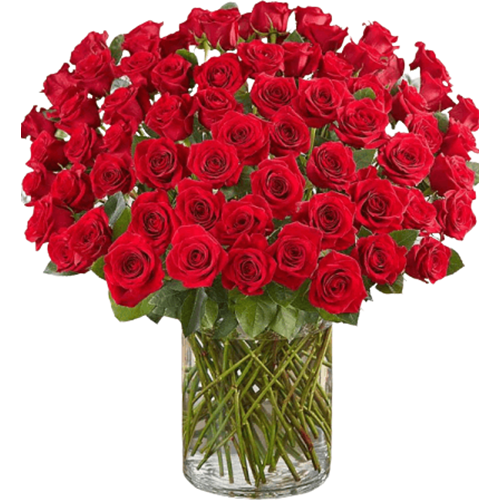 One Hundred Long Stem Roses