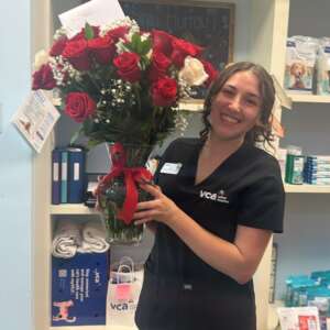 Red and White Rose Bouquet in Glass Vase